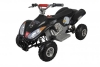  Pilsan Hunter Atv